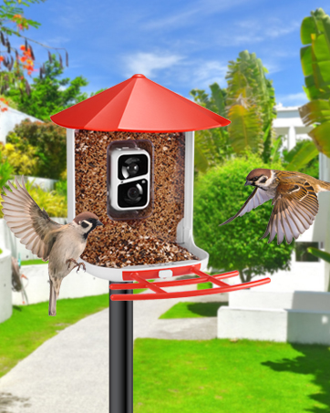 ZYAN Smart Bird Feeder with Camera Solar Panel, 1080P HD