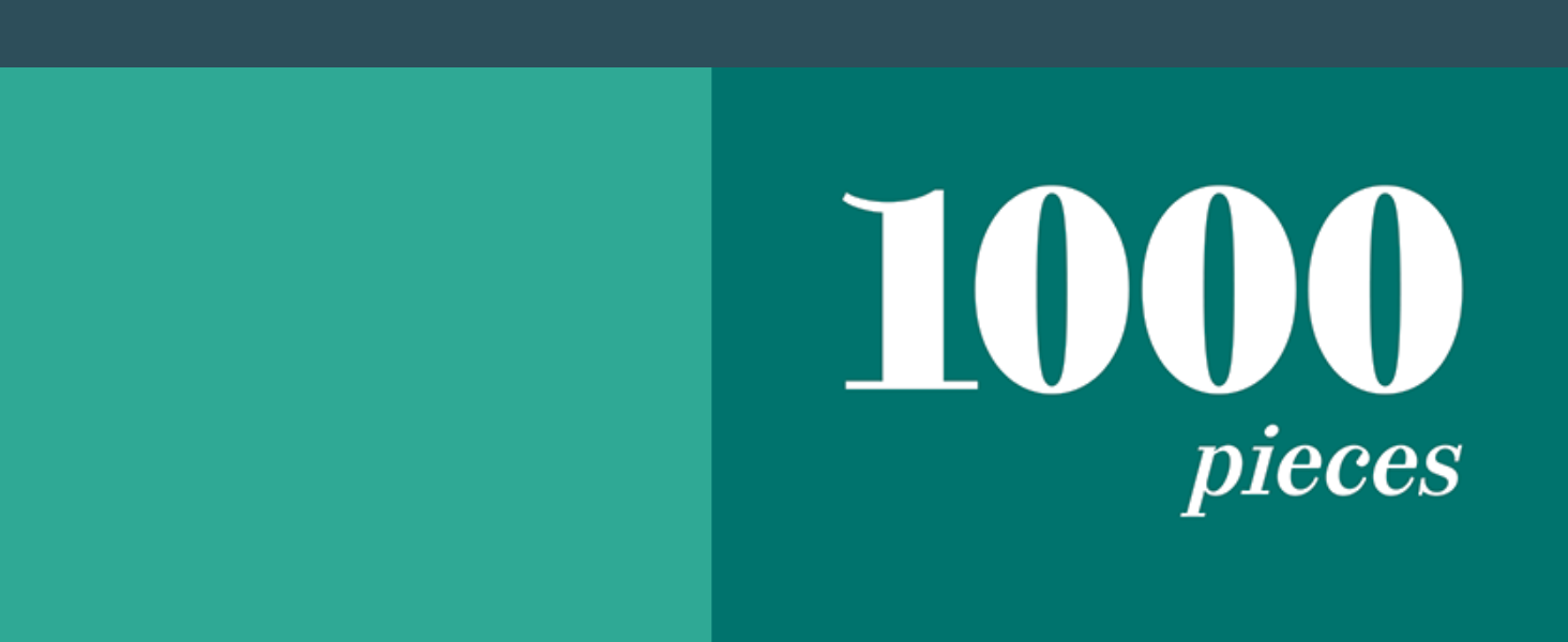 Falcon 1000 Piece Puzzle