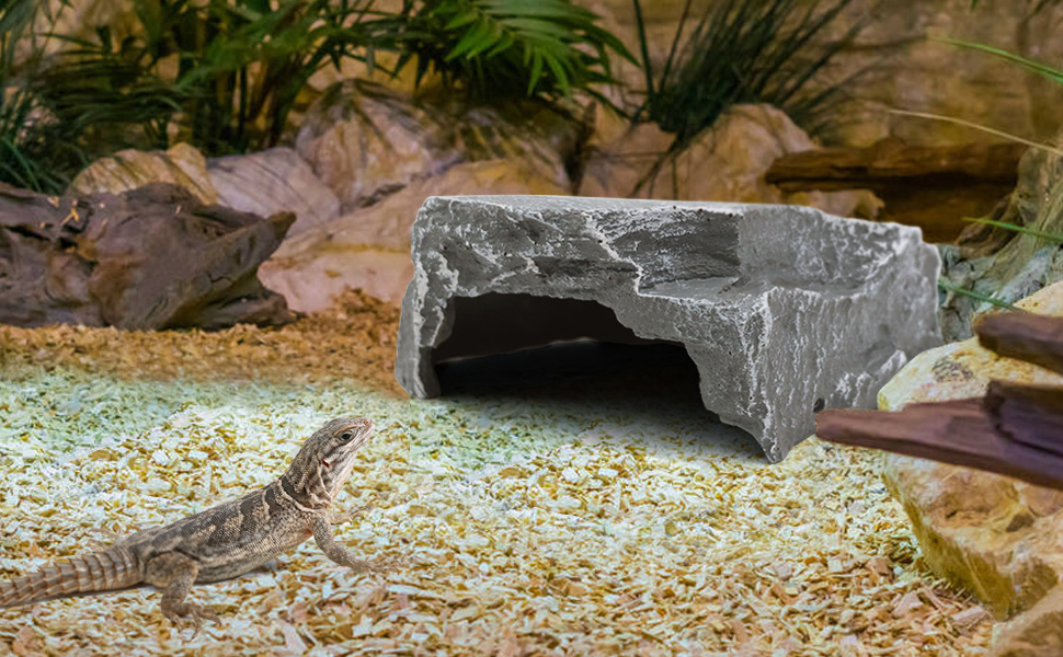 Reptile Hideout Cave