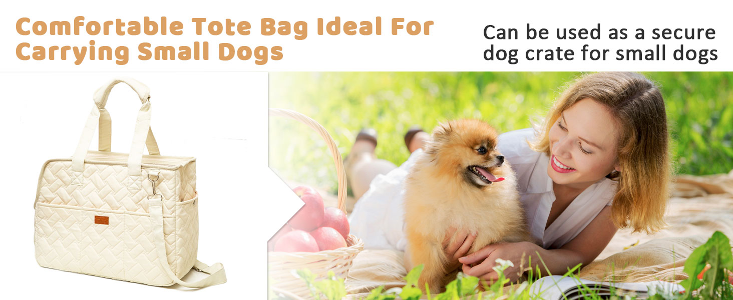 Text: „Komfortable Tragetasche, ideal für den Transport kleiner Hunde“. Das Produktbild zeigt eine beigefarbene Tragetasche für Haustiere.