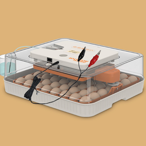 chicken incubators for hatching eggs