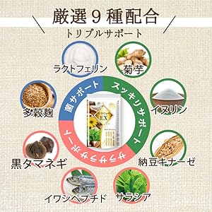 新品　未使用　未開封　サラリッチEX　いつもココ　6個 楽天市場】血糖値 サプリ 菊芋 イヌリン 食物繊維 コンブチャ