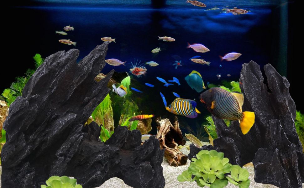 Aquarium Decorations Mountain View Stone