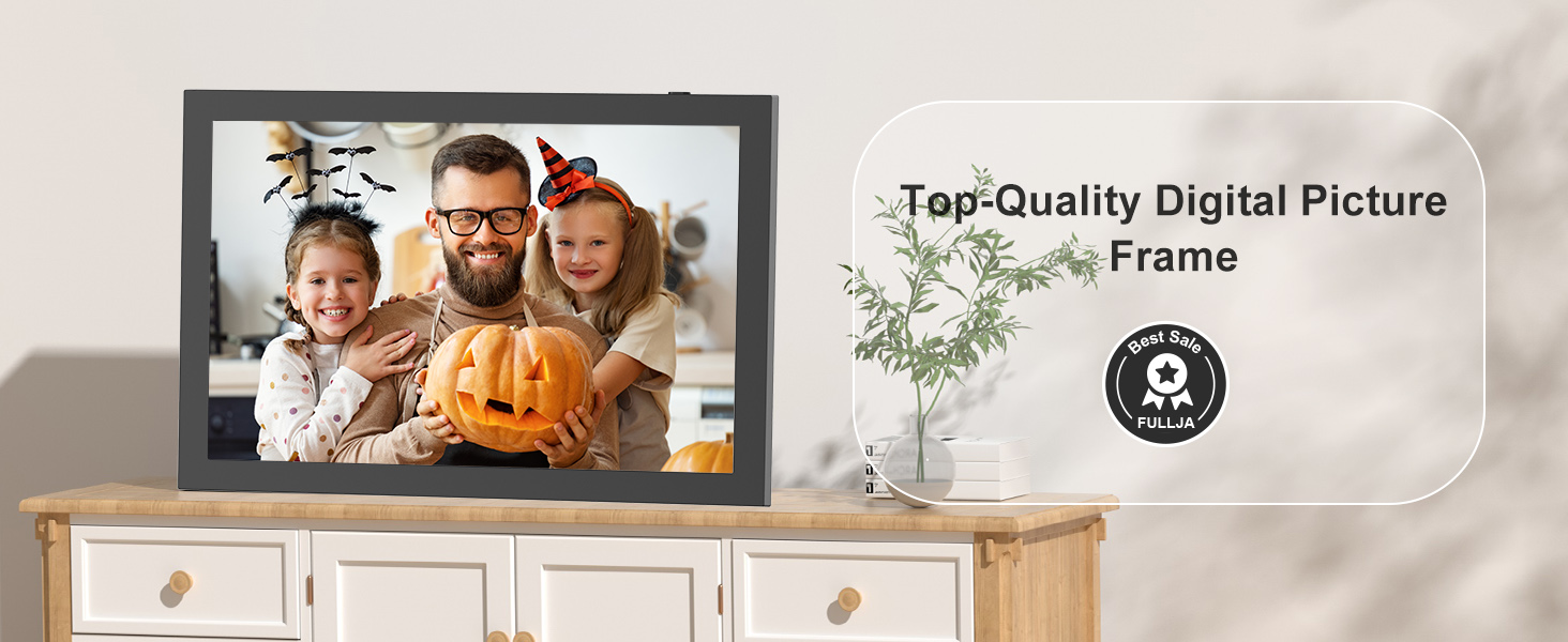 10.1 inch digital frame