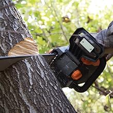 WEN BG4276 2.1-Amp 6-Inch Single Speed Bench Grinder with Flexible Work Light WEN Lawn and Garden