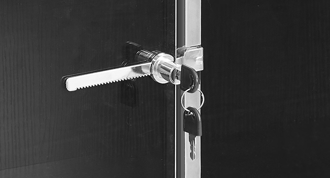 Lockable Reptile Terrarium Tank