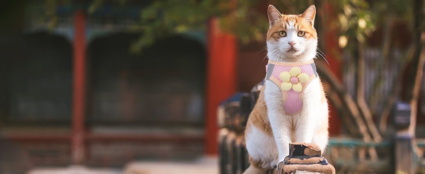 Cat Harness and Leash Set