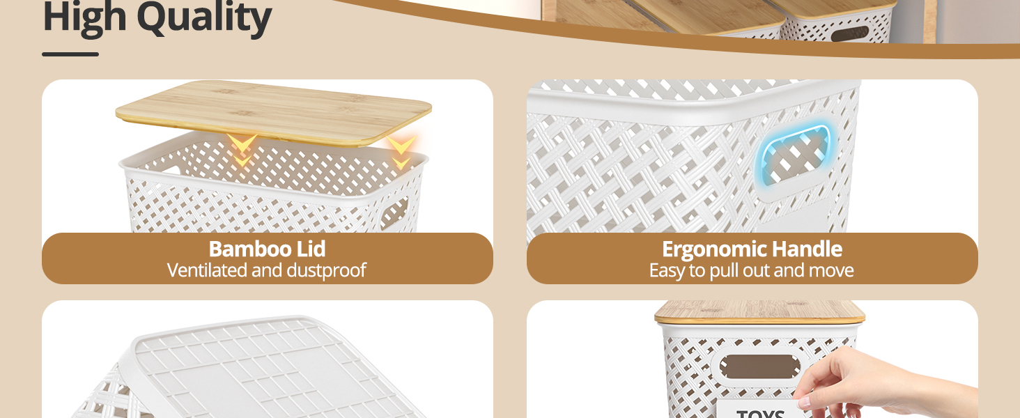 organization and storage