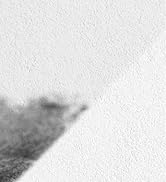 Camp anti-moisissure