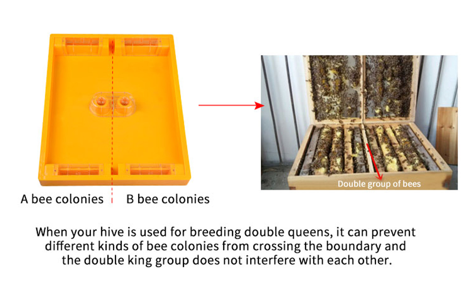 Upgraded Bee Feeder Langstroth 10 Frame Beehive Top Feeder