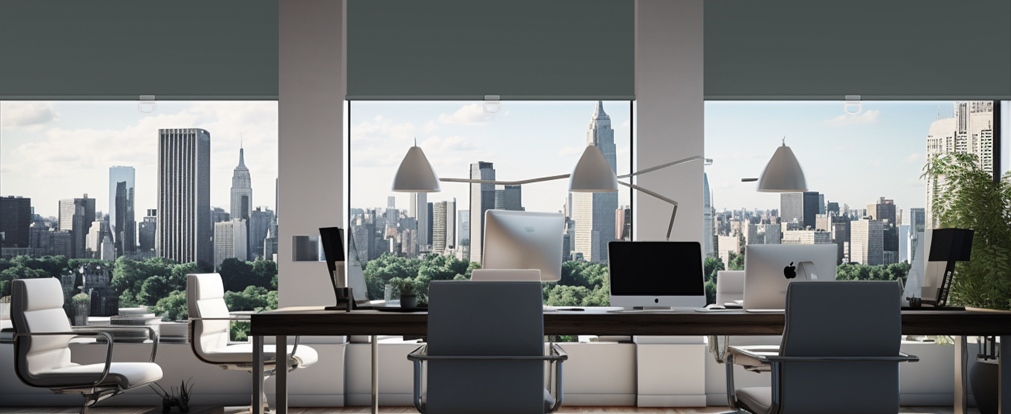 MoDanCeQ Blackout Roller Shades Cordless ColorMatched