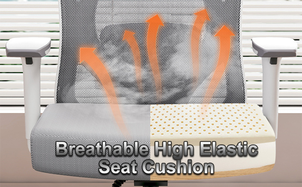 Ergonomic Office Chair