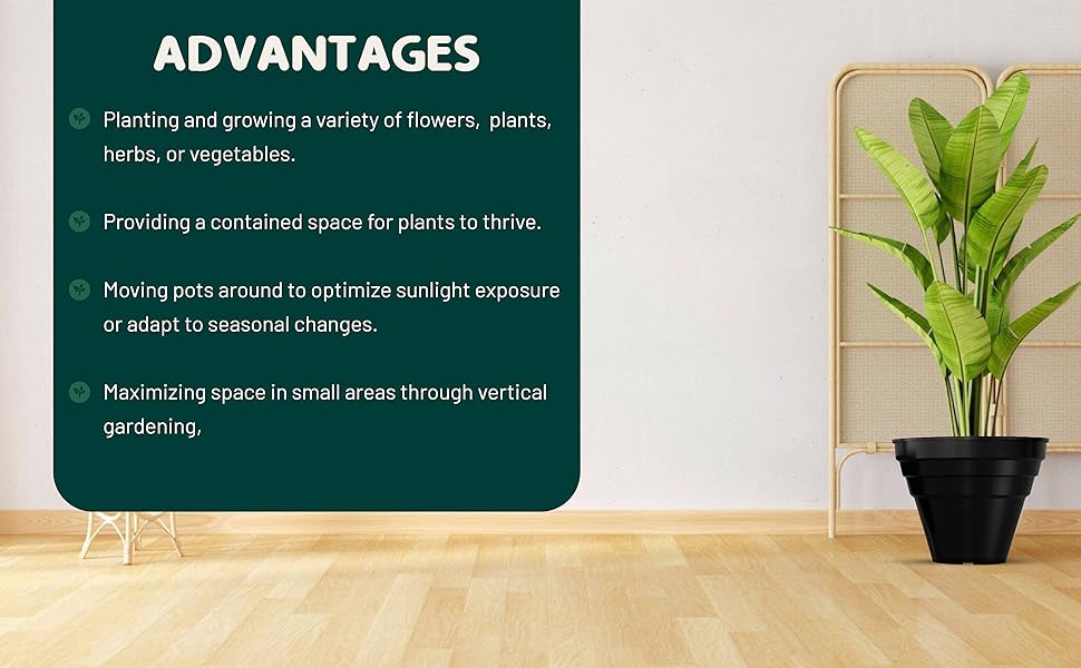 small plant pots