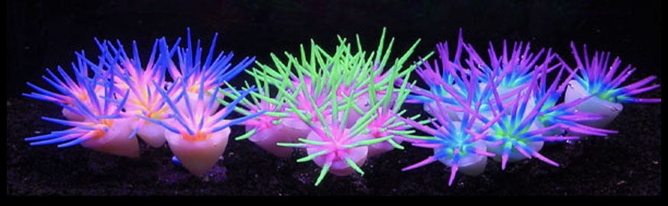 Glowing Effect Aquarium Fish Tank