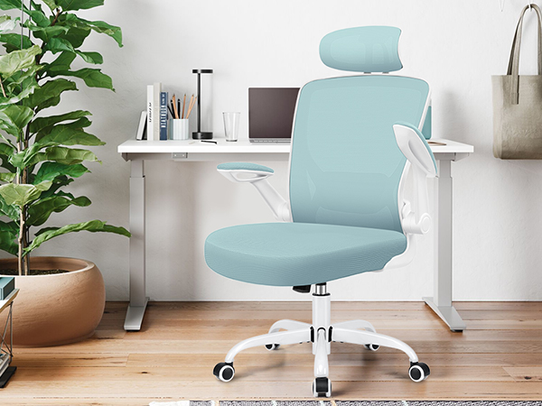 Amazon.com: KERDOM Modern Ergonomic Office Chair, Lightblue