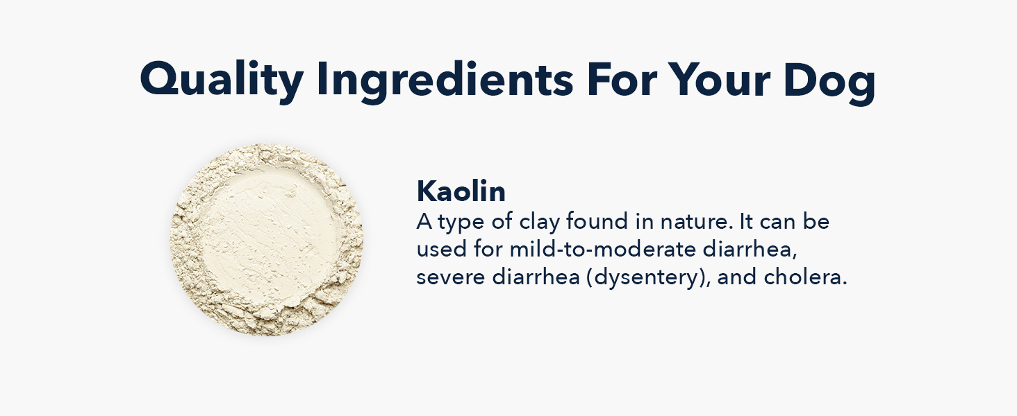 dog digestive remedies