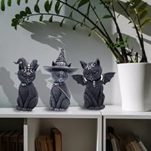 Hexenhut Okkulte Katze