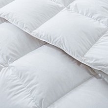 BPC Queen Size Feather Comforter - Fluffy and Luxurious All Season Duvet Insert
| BPC Queen Size Feather Comforter - A52b00e8 0dd4 4515 886e 70b29811d4c1. CR0,0,220,220 PT0 SX220 V1