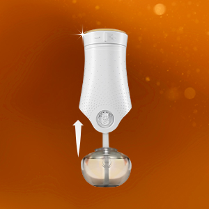Glade PlugIns Refills Air Freshener, Pumpkin; Ginger Currant, Essential Oils