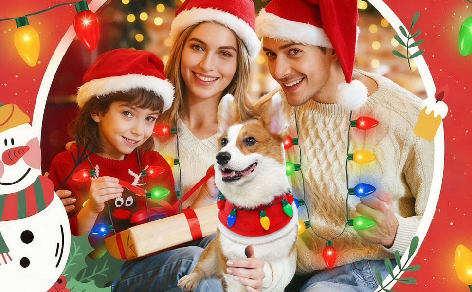 dog christmas outfit