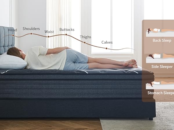 Amazon.com: Queblox Twin Mattress, 10 Inch Hybrid Mattress
