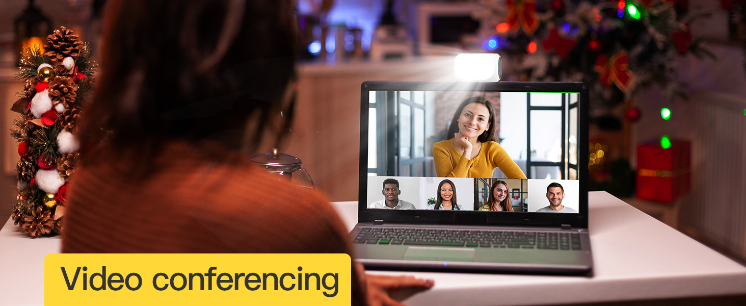 Video conferencing light