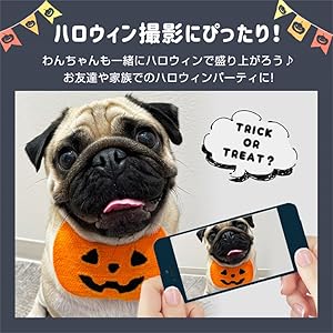 Amazon | ペット ハロウィン タオル スタイ ビブ よだれかけ