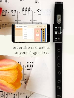 Amazon.co.jp: ARTinoise アルティノイズ デジタル・リコーダー