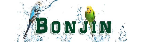 Bonjin