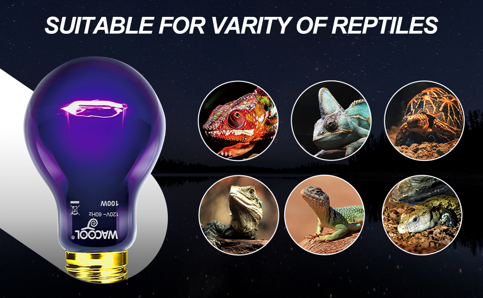 reptile heat lamp bulb