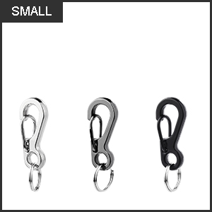 mini clip 300x300-small