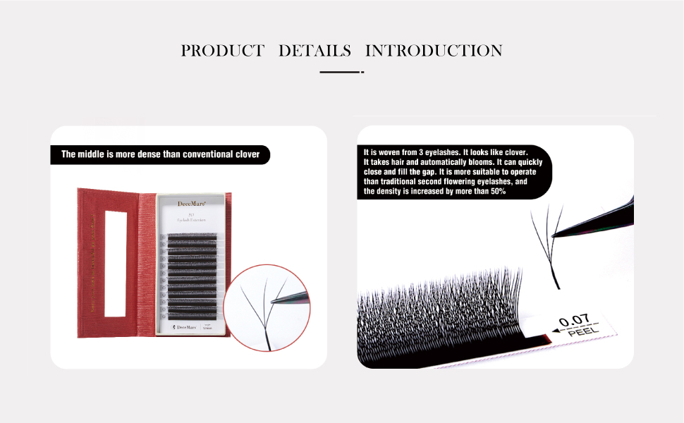 3D Eyelash extension