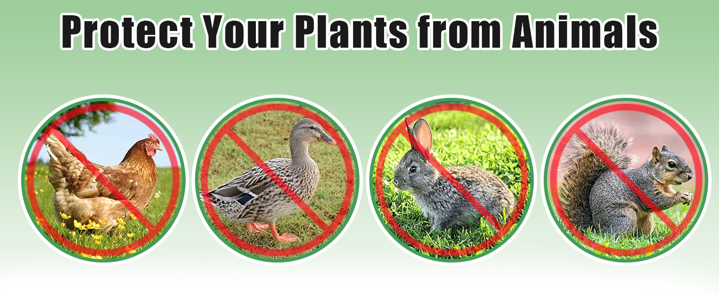 Bigmeta Set of 5 Plant Protector from Animals,13.8'' L x