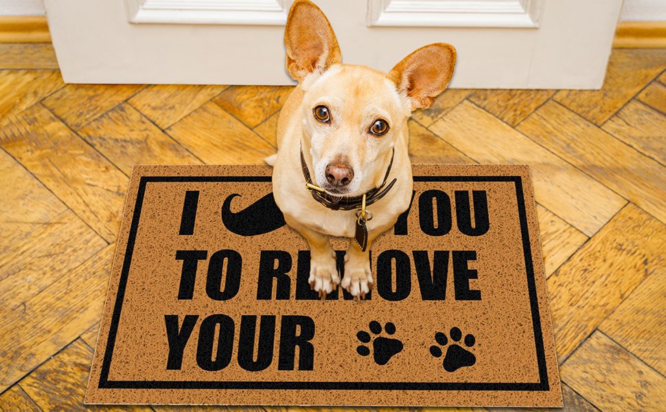 FAFACUSDIT Funny Mat Outdoor Front Door Mats 17”x30