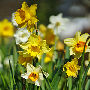 Small manufacture image 12