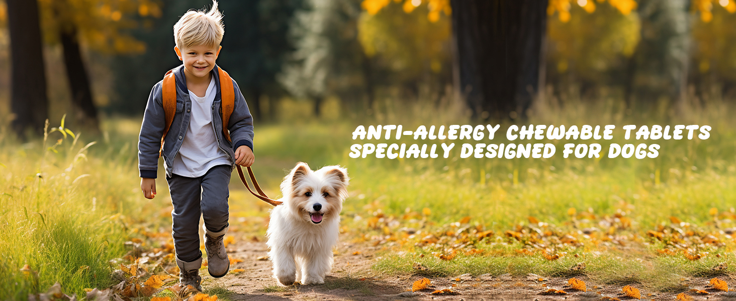 pet allergy medicine for dogs