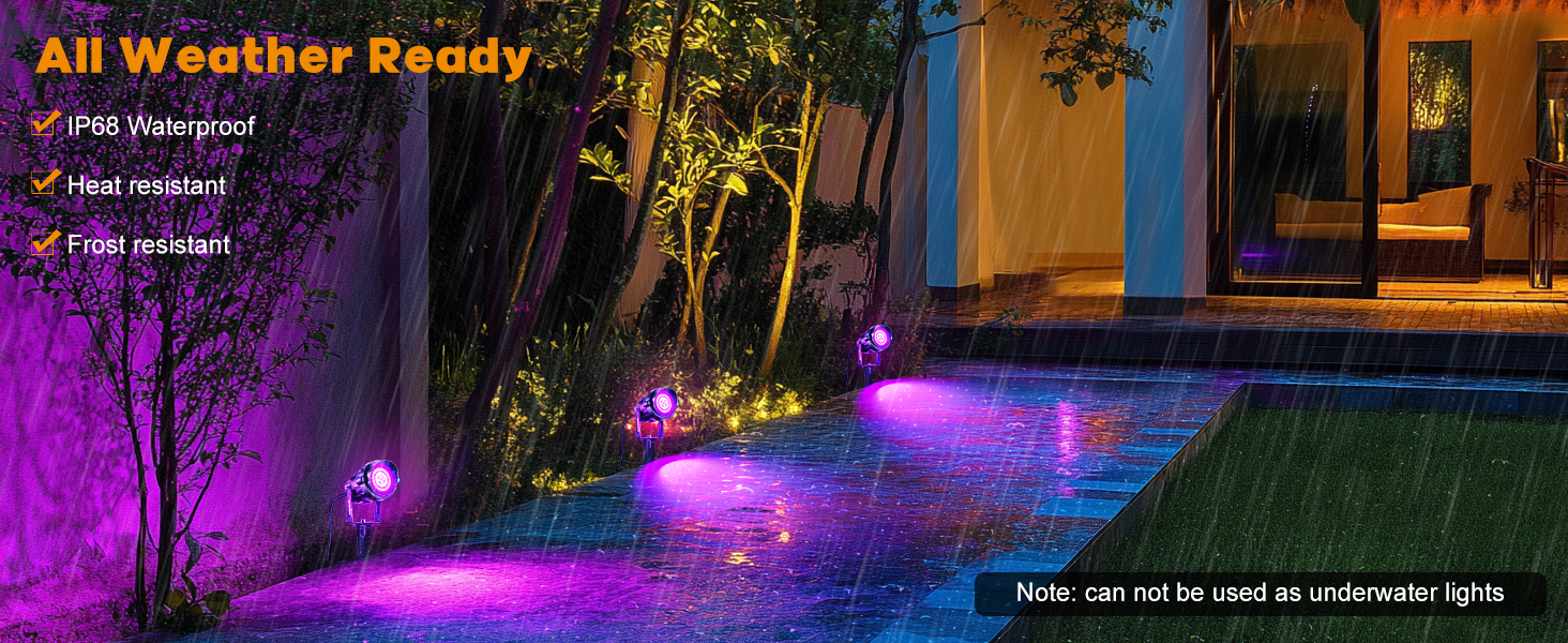 purple spotlight
