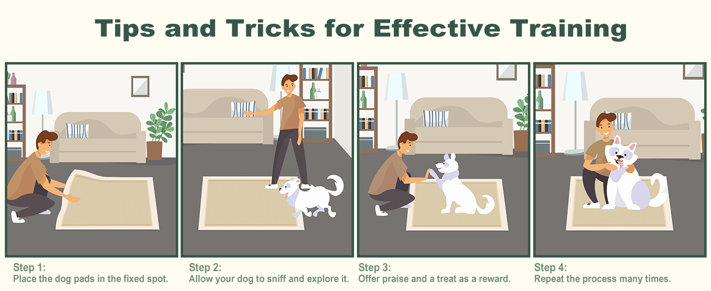 training tips