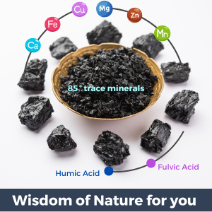 Wisdom of Nature for you