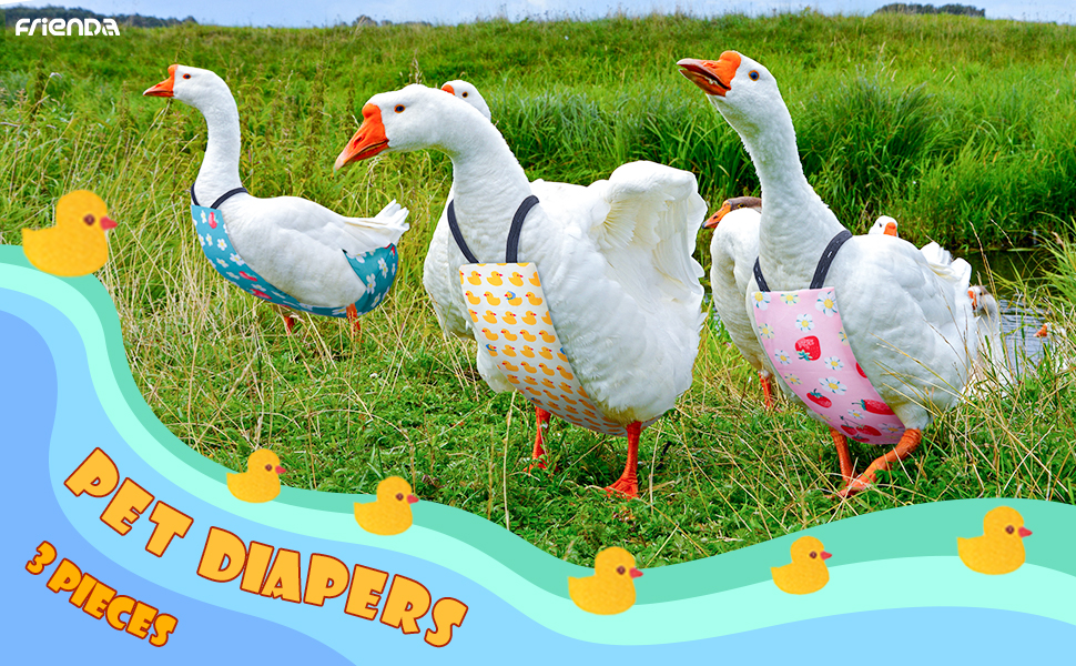 3 Pieces Pet Chicken Diapers Duckling Diapers Reusable