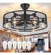 DLLT Caged Ceiling Fan with Lights: 26