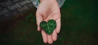 a5726acd 5ec2 4762 a1f8 f7faa6e779a1. CR421,0,2928,1348 PT0 SX315 V1