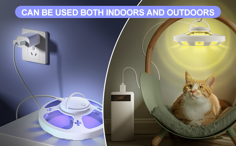 flea prevention for home