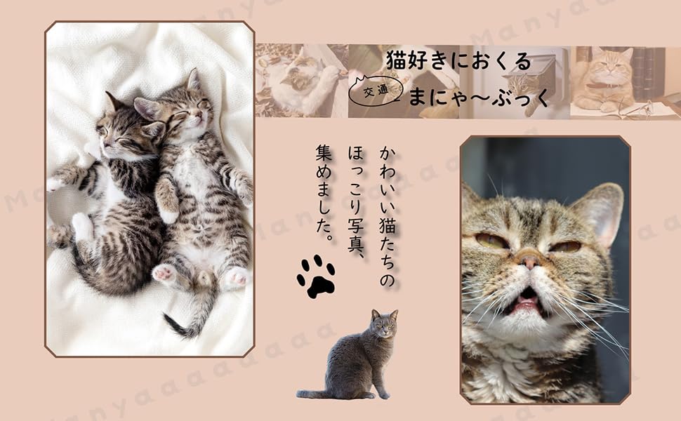 猫好きの料理の本 猫好きの料理の本 Amazon.co.jp: ネコ大好き！ すべてのネコ好きに