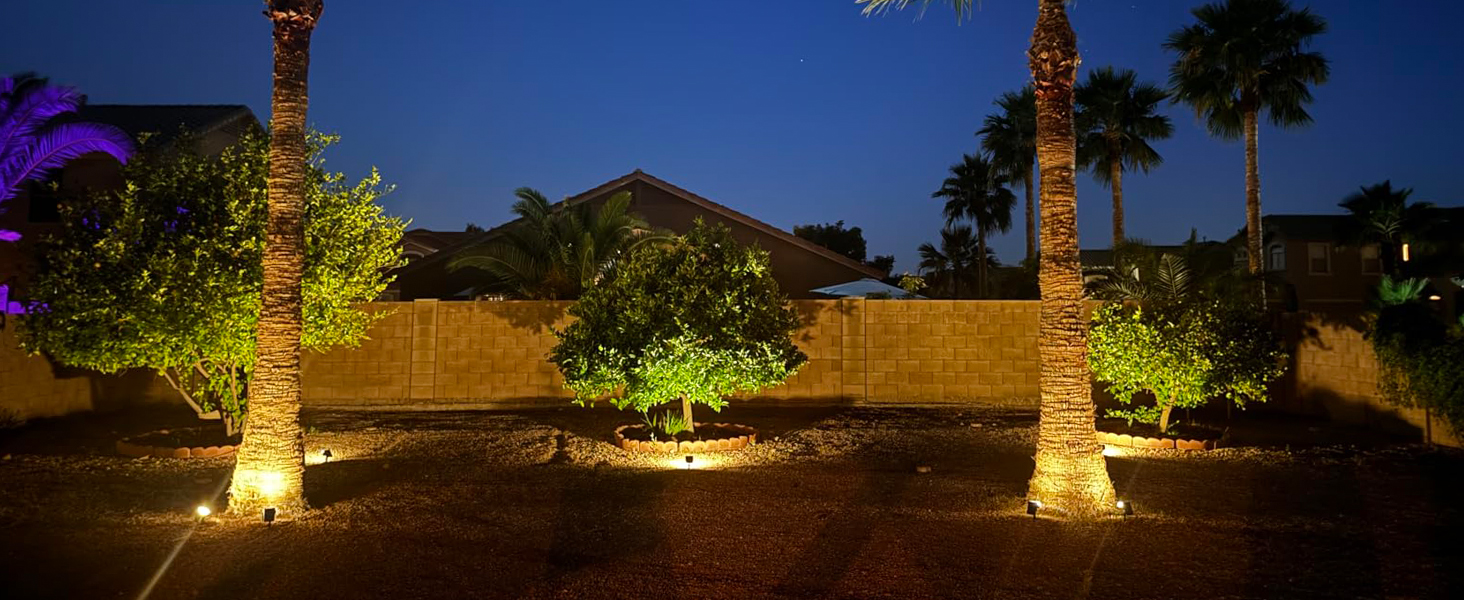 Solar Garden Lights