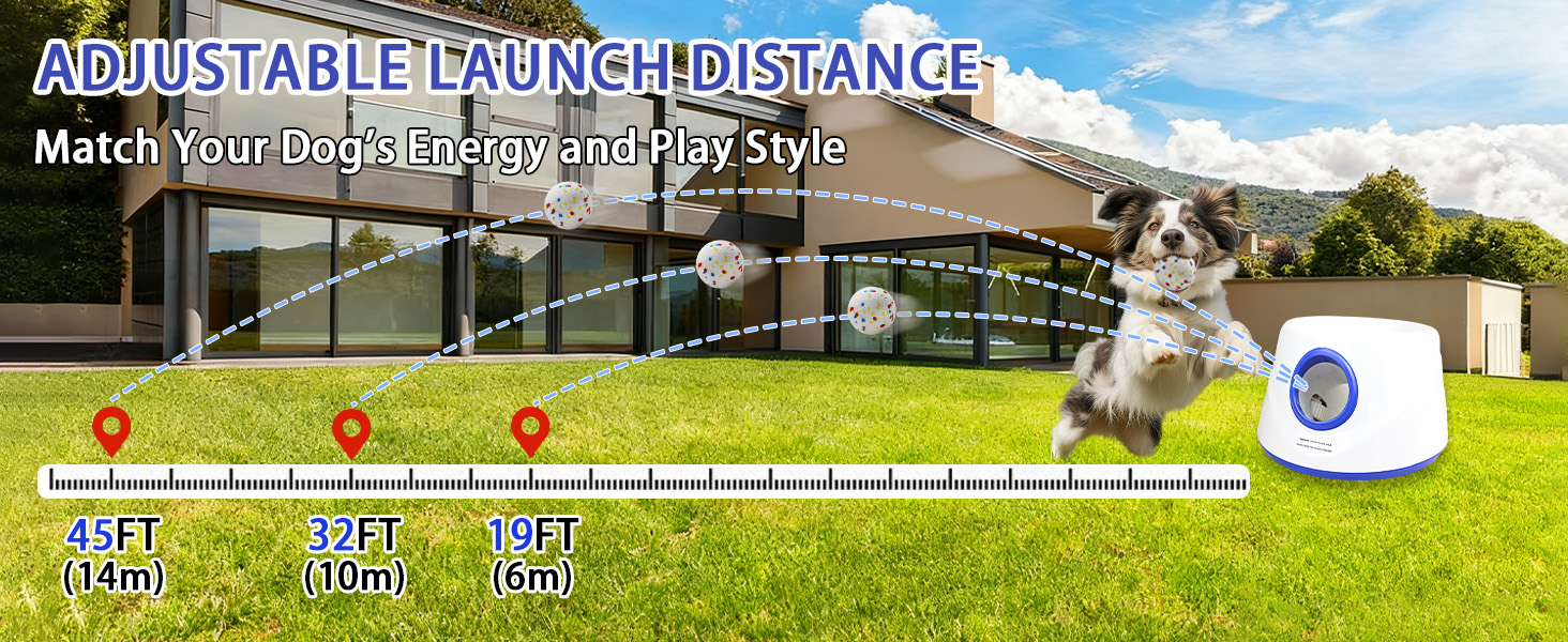 Automatic Dog Ball Launcher