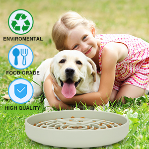 slow feeder dog bowl