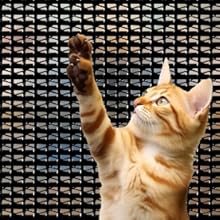 Small manufacture image 6