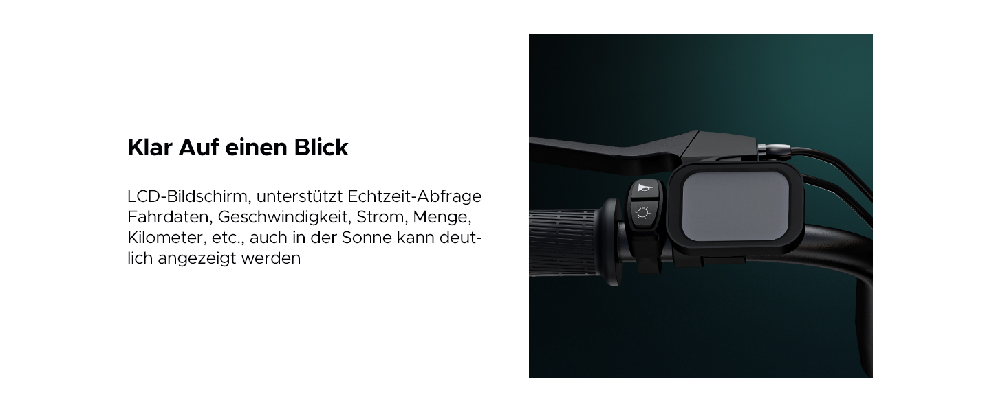 e bike