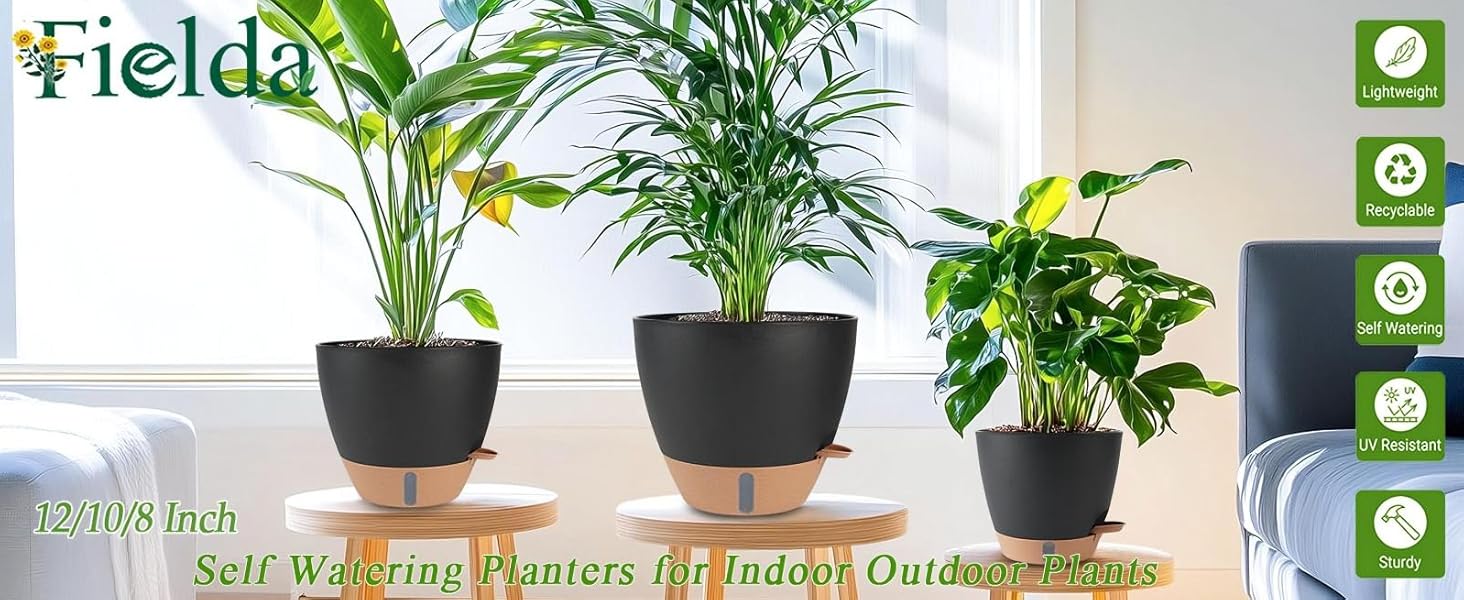 self watering pot